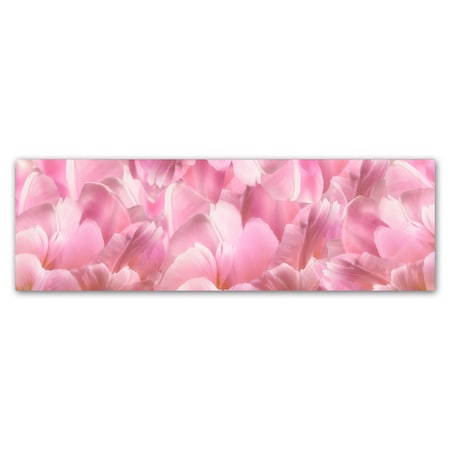 Trademark Fine Art Cora Niele 'Pink Tulip Scape' Canvas Art, 6x19 ALI1855-C619GG